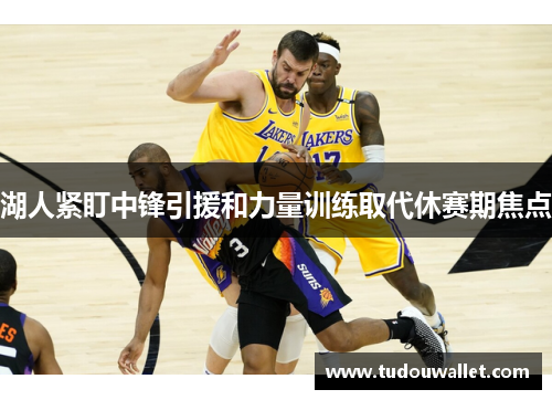 湖人紧盯中锋引援和力量训练取代休赛期焦点
