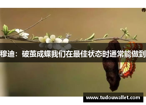 穆迪：破茧成蝶我们在最佳状态时通常能做到